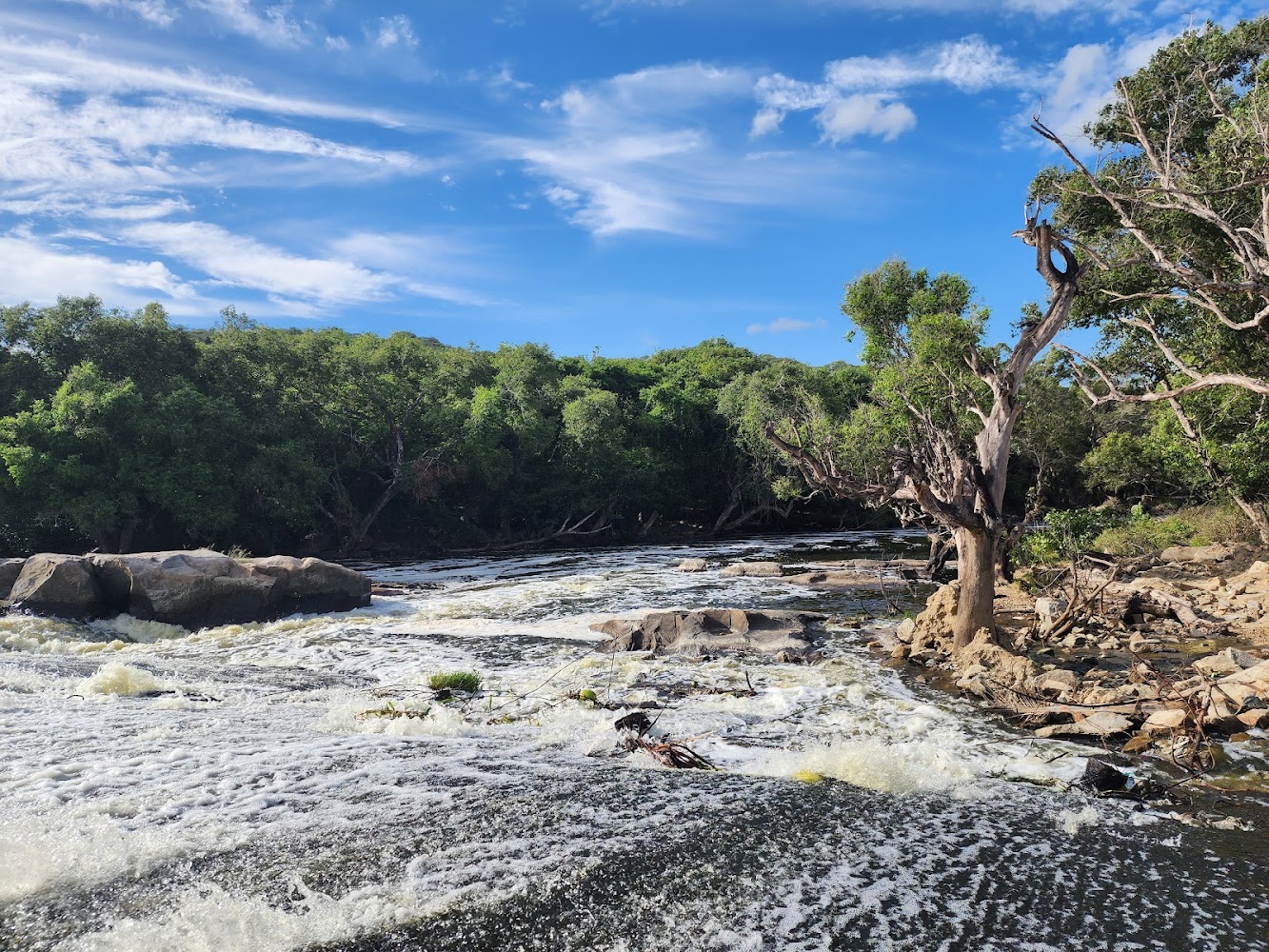 Perandapalli Forest Waterfalls